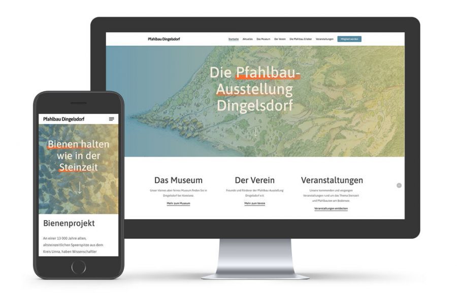 Website Pfahlbau Dingelsdorf