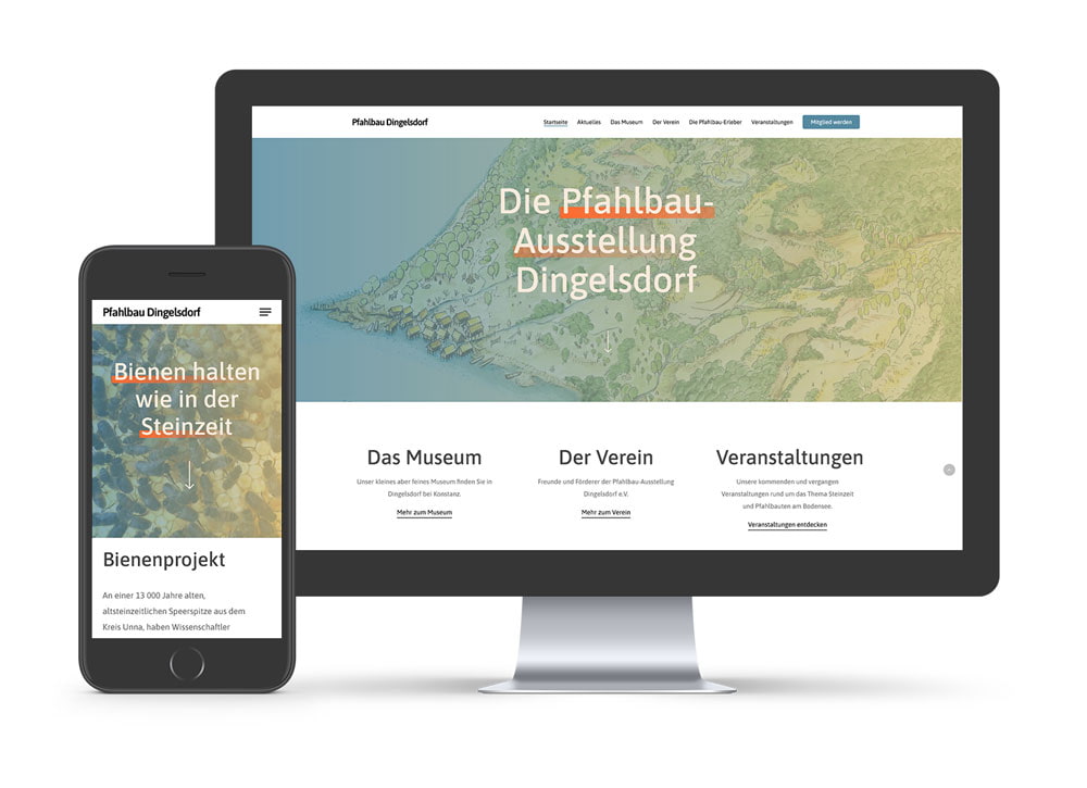 Website Pfahlbau Dingelsdorf