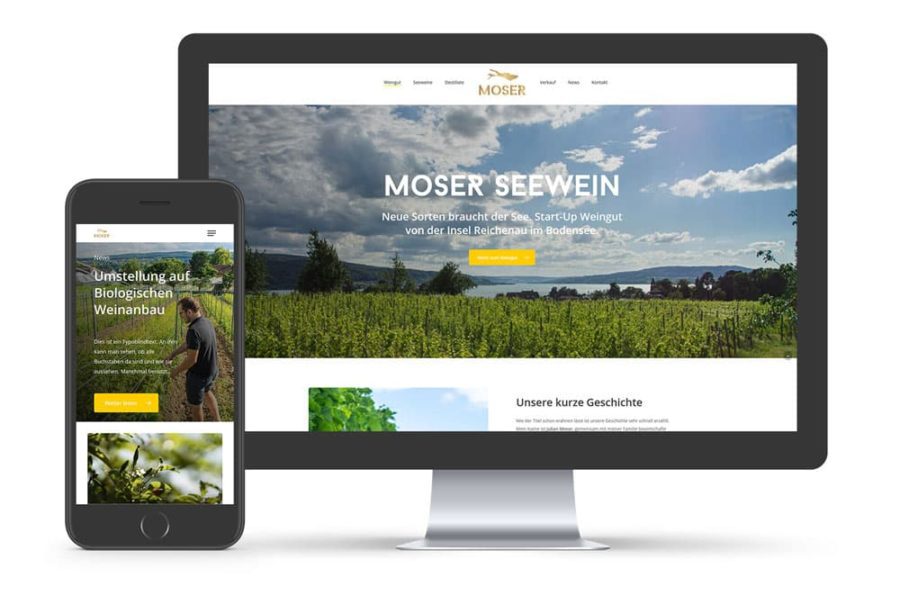 Website Moser Seewein